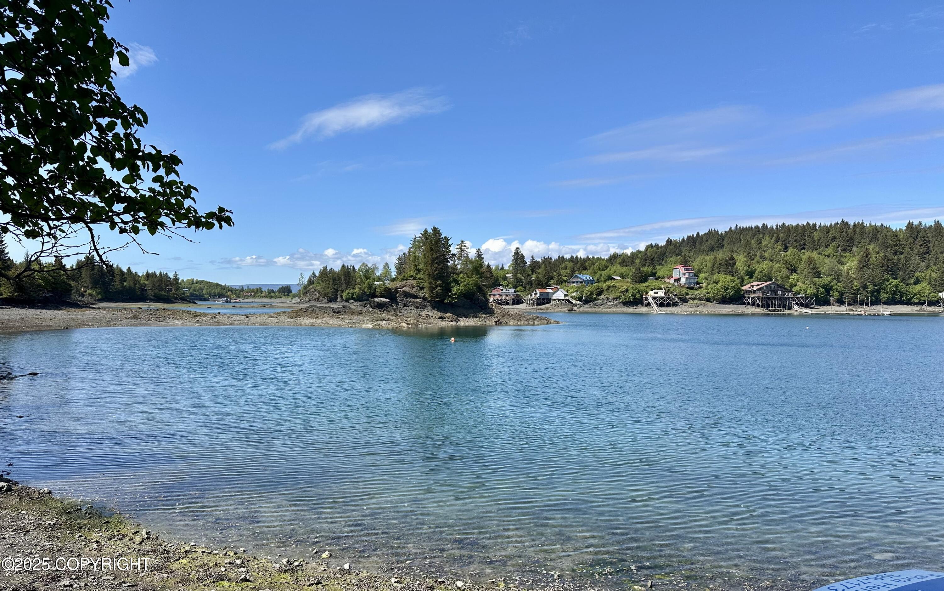 L5a Halibut Cove Property Photo 3