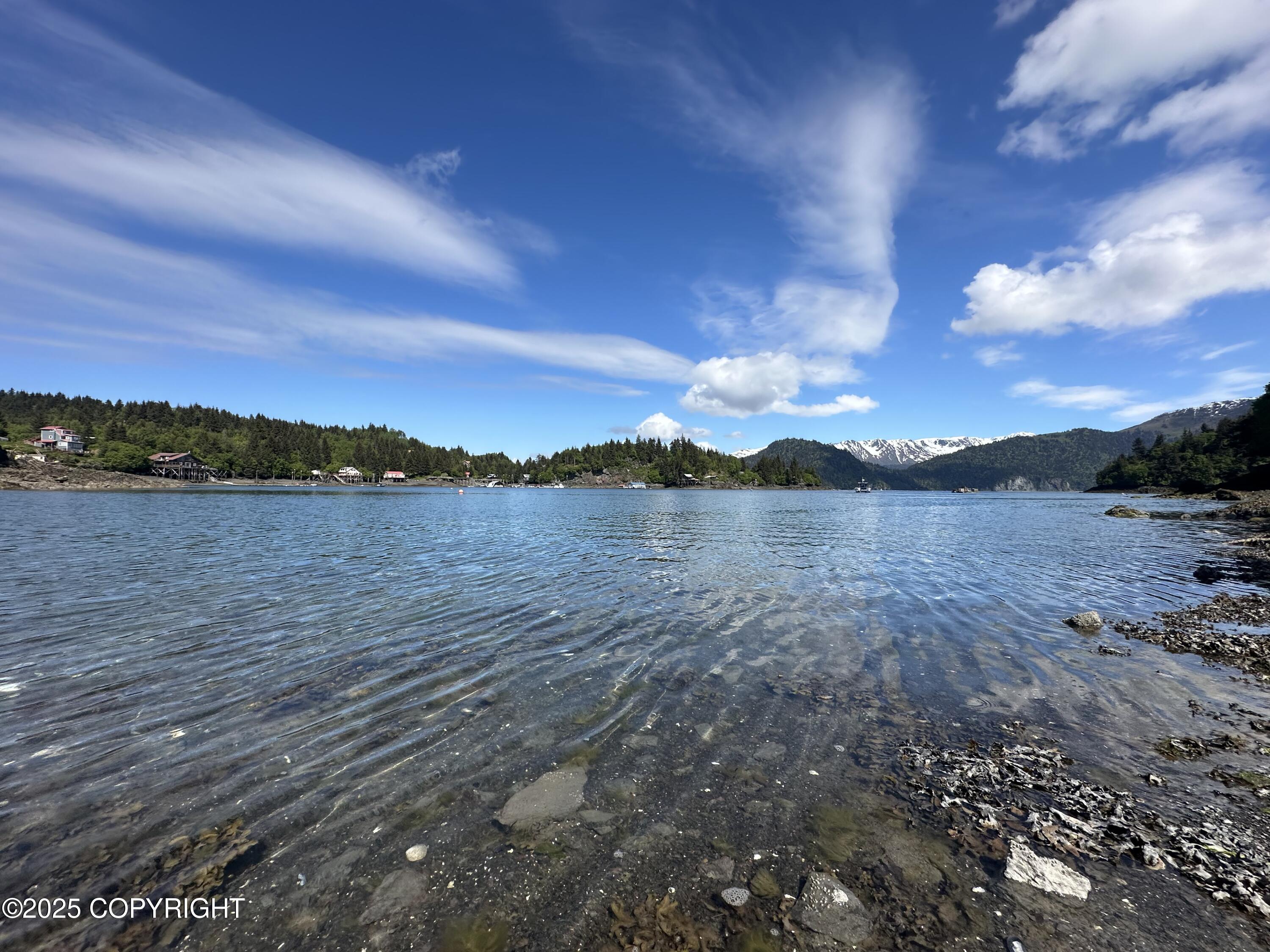L5a Halibut Cove Property Photo 6