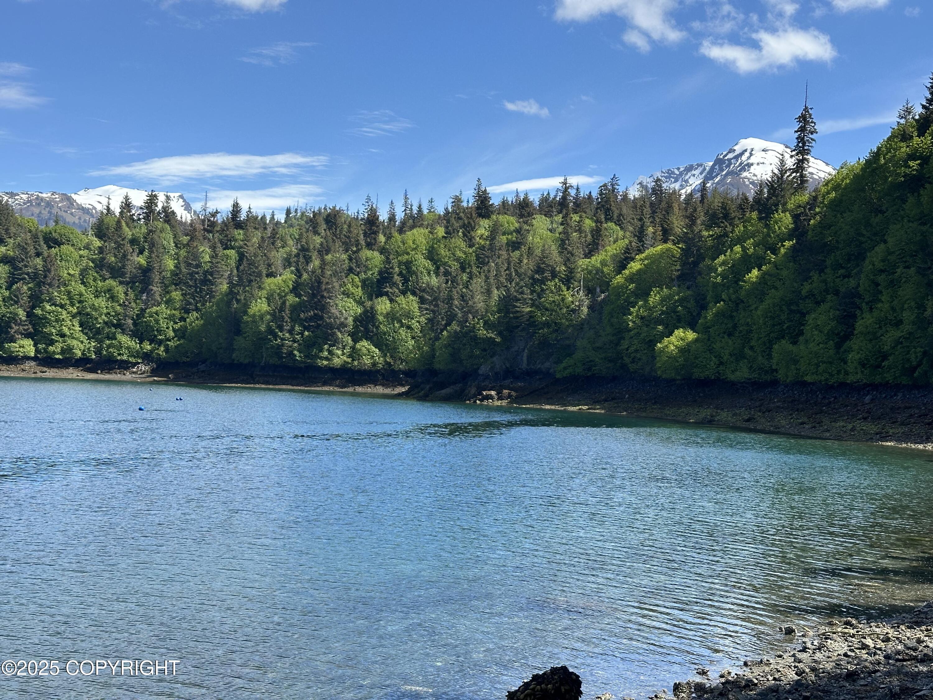 L5a Halibut Cove Property Photo 7