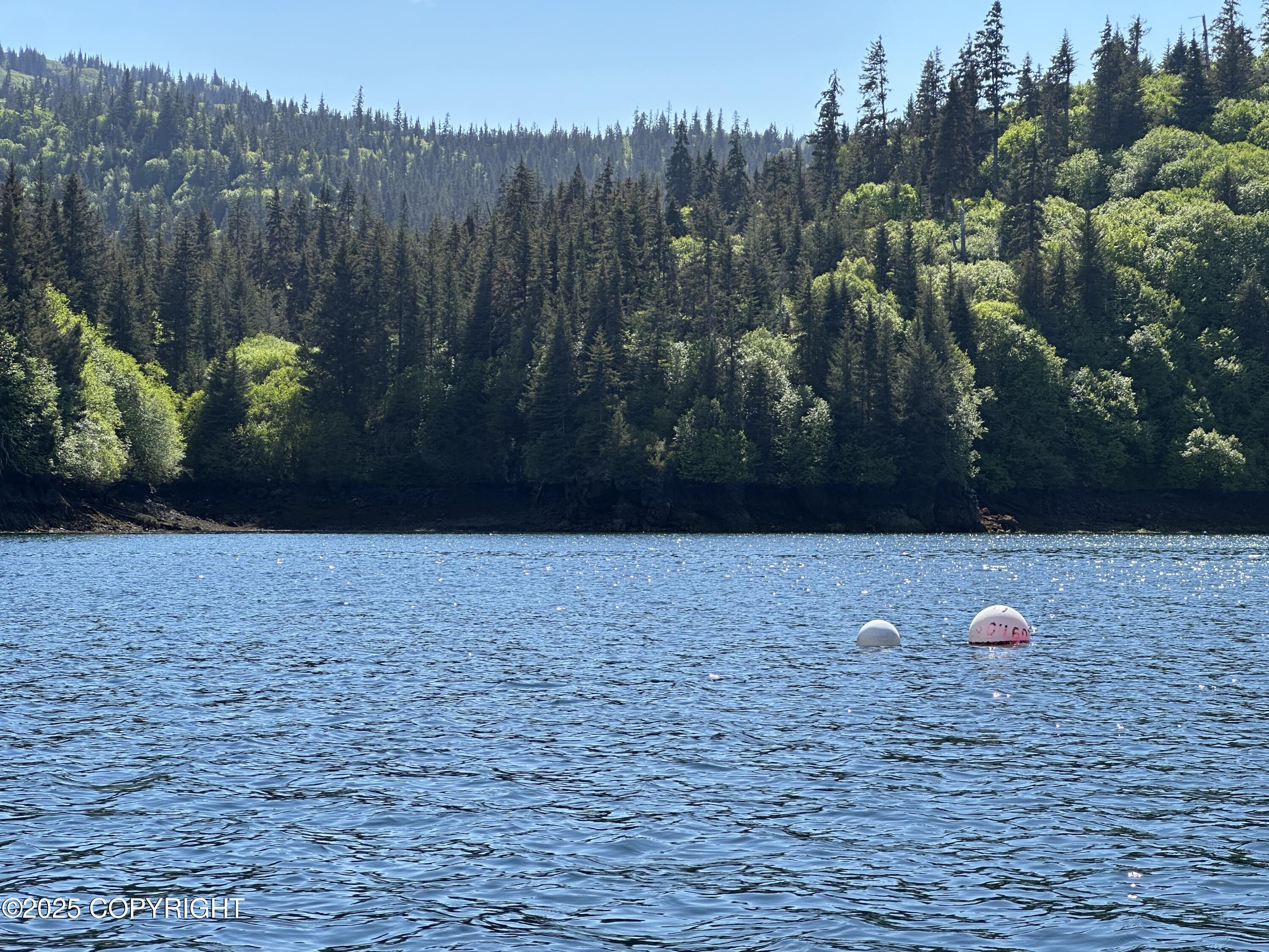 L5a Halibut Cove Property Photo 9