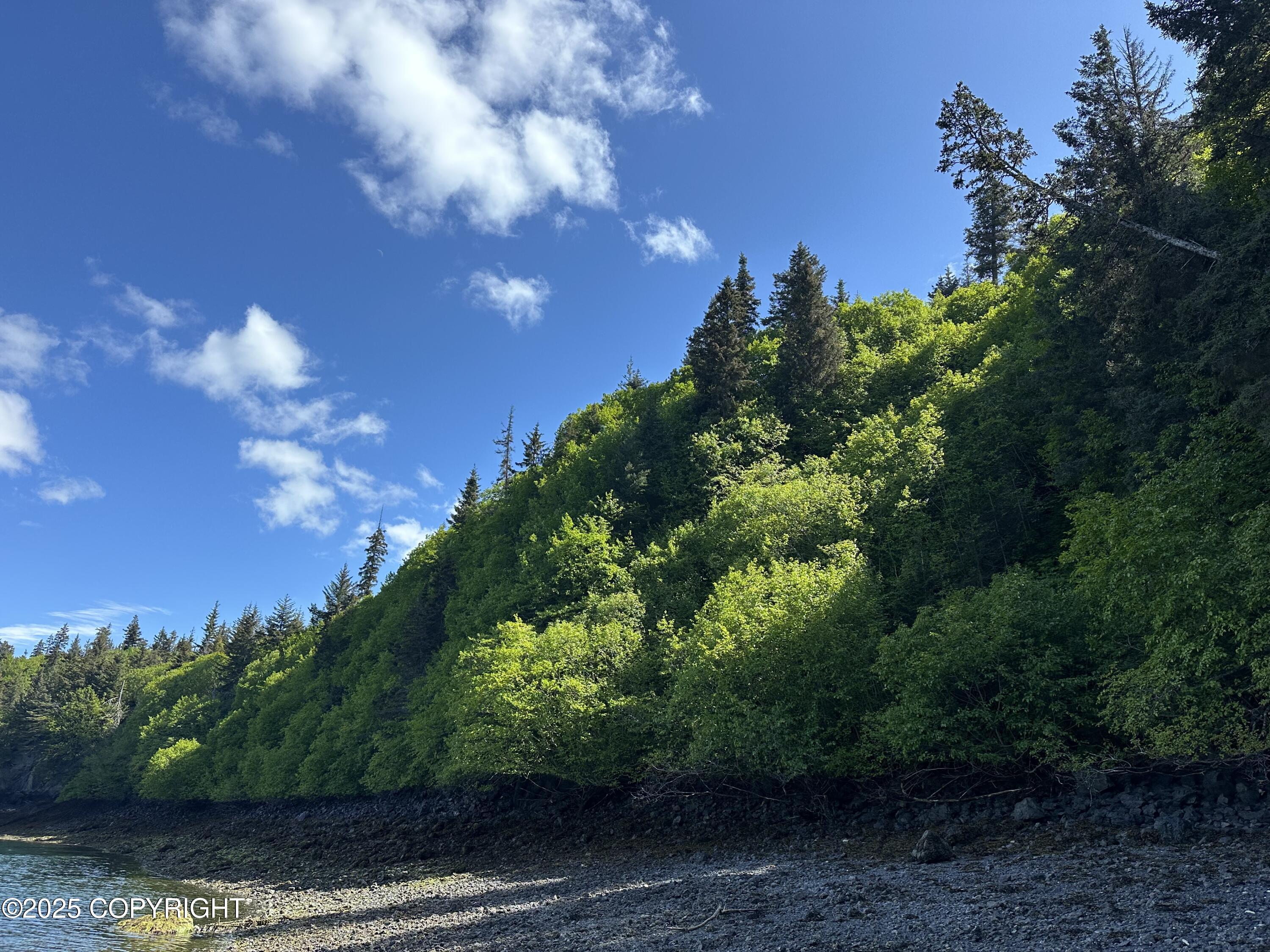 L5a Halibut Cove Property Photo 12