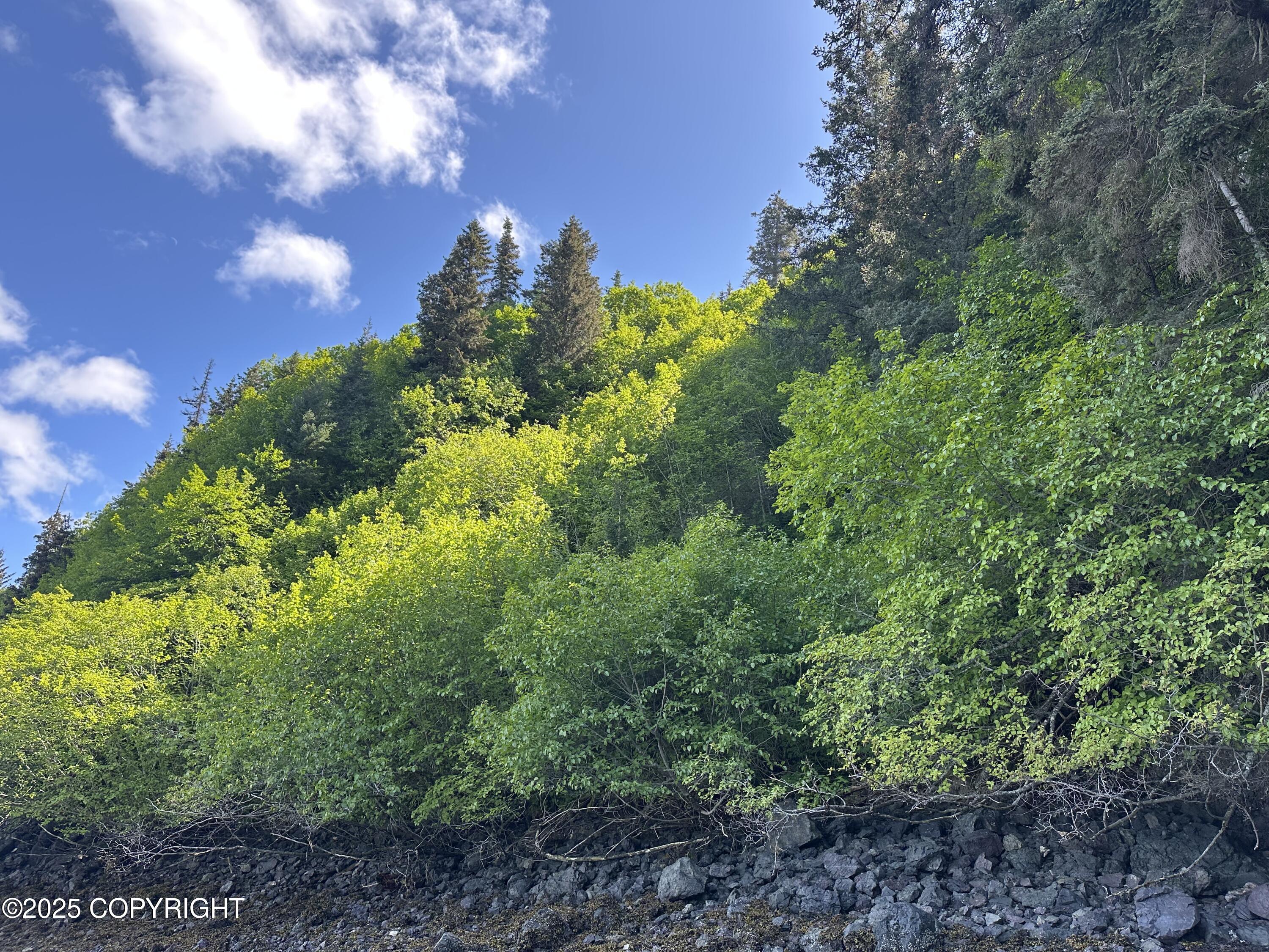 L5a Halibut Cove Property Photo 13