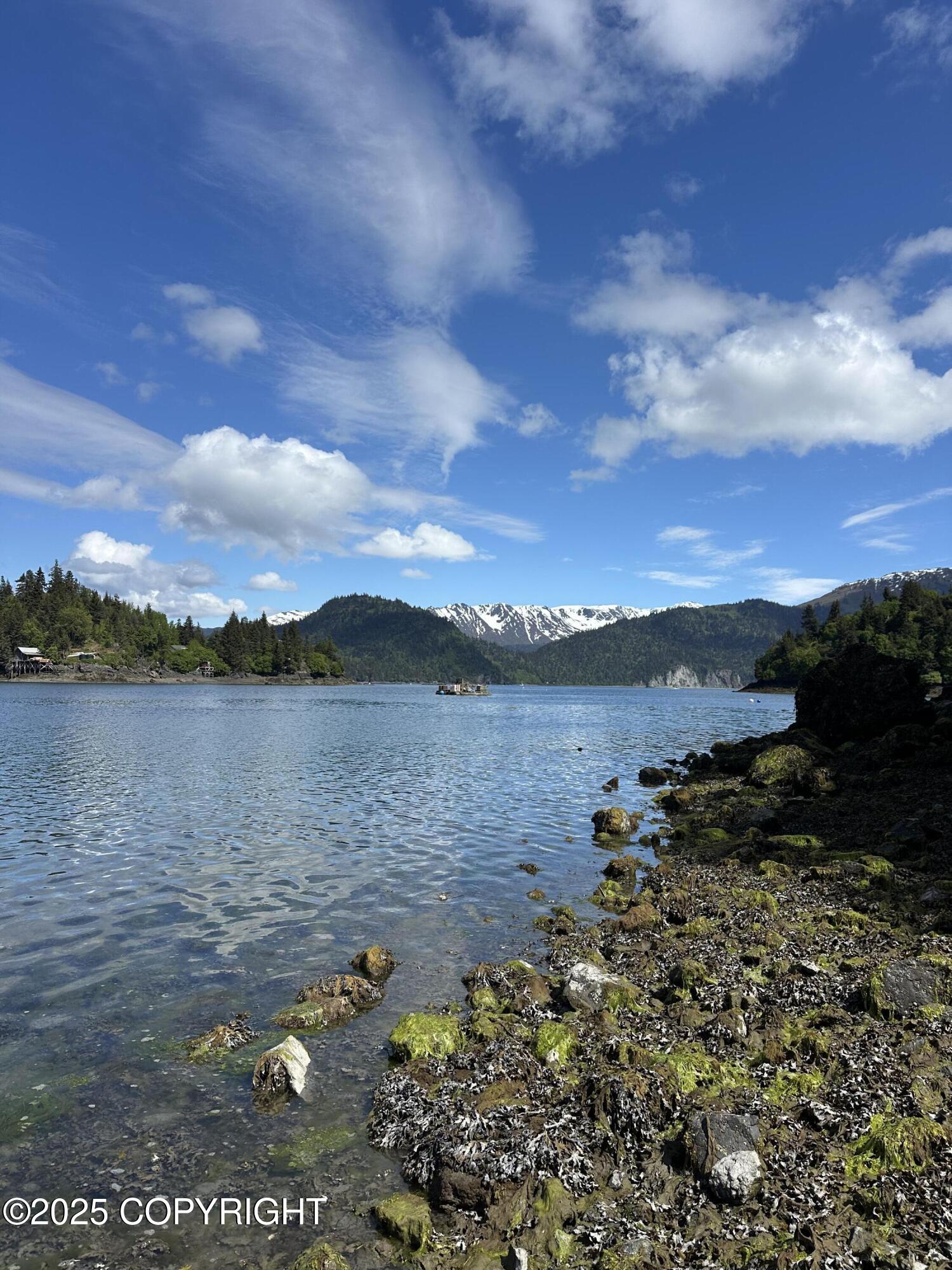 L5a Halibut Cove Property Photo 16