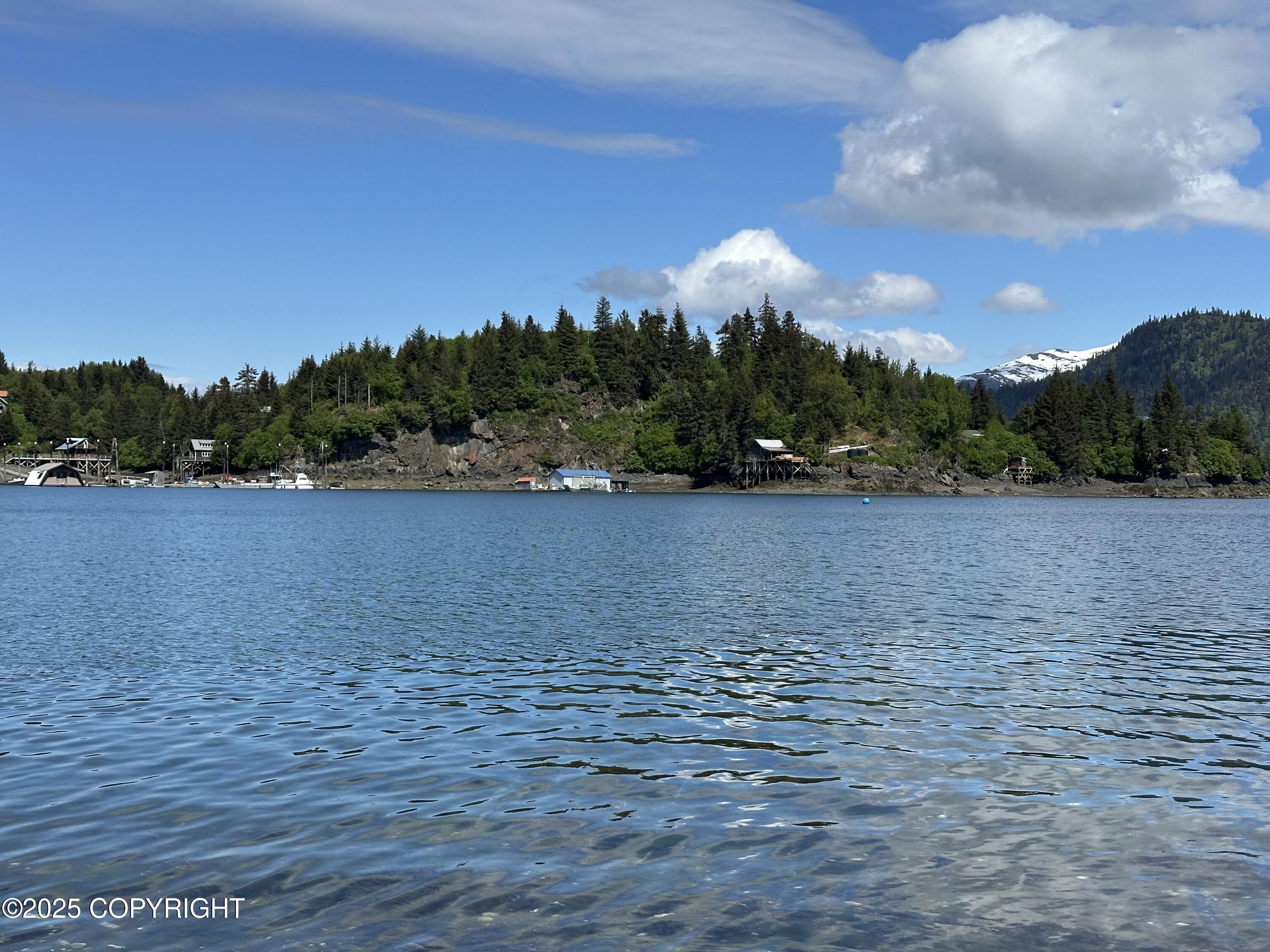 L5a Halibut Cove Property Photo 17