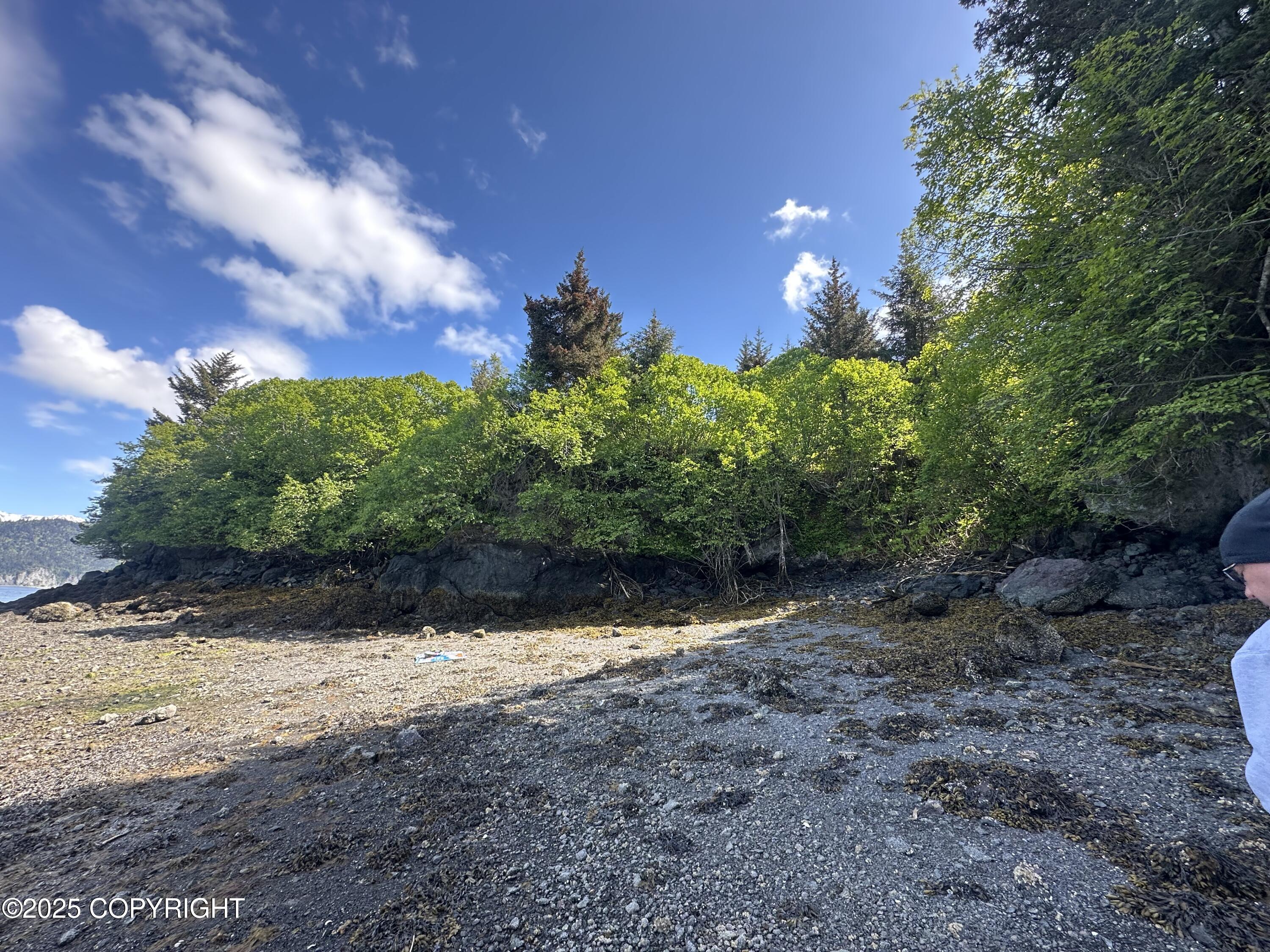 L5a Halibut Cove Property Photo 18