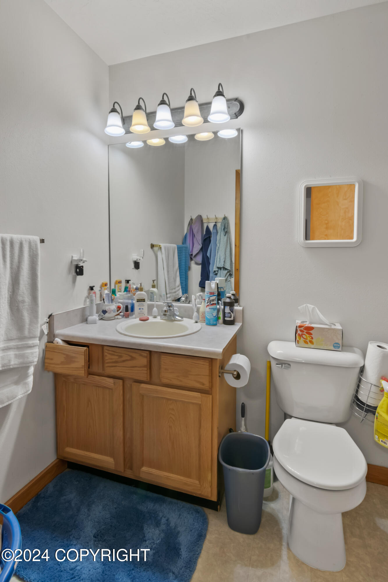 48672 Funny River Road Property Photo 57