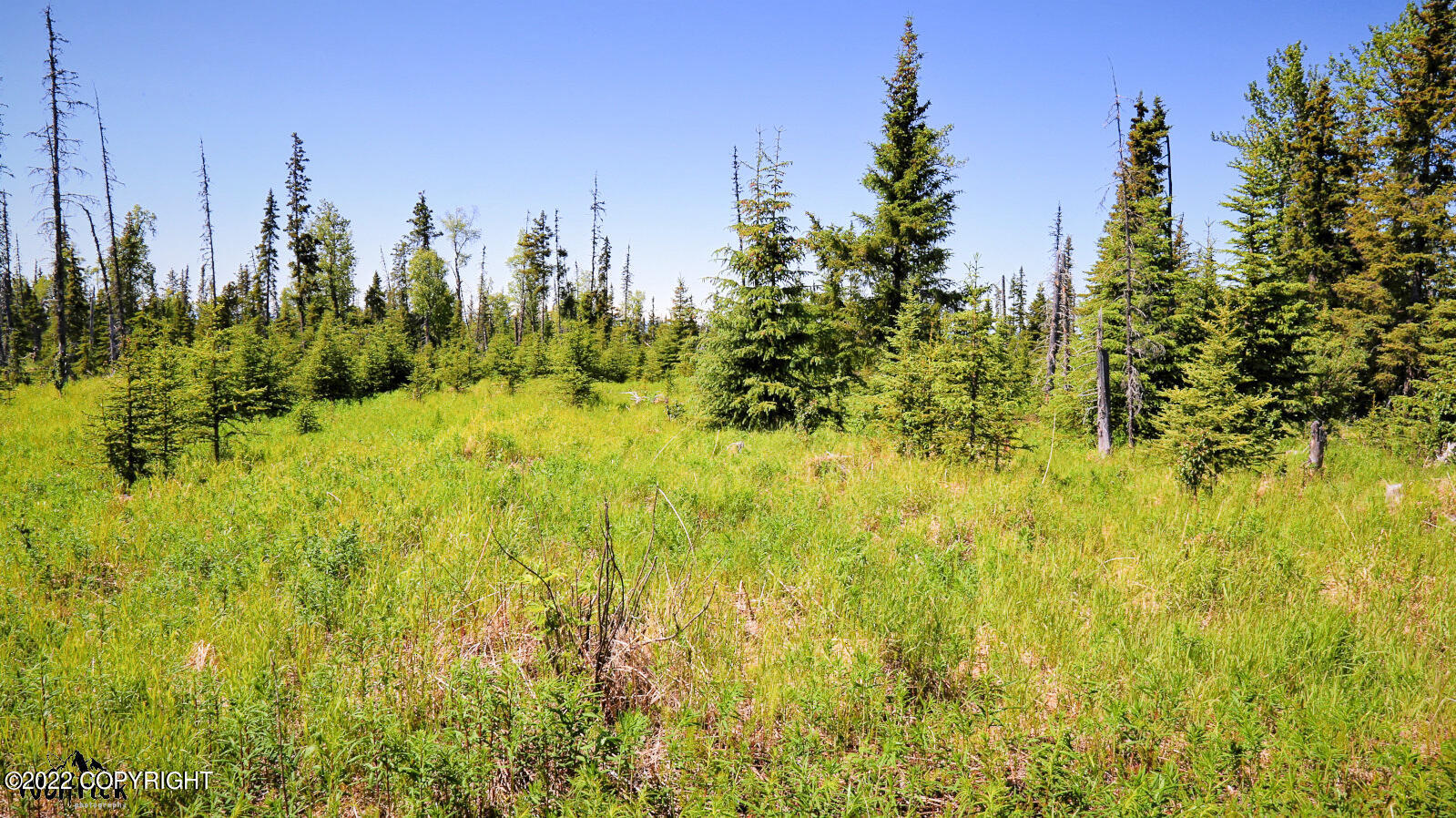 D23 Alaskan Wildwood Ranch(r) Property Photo 6