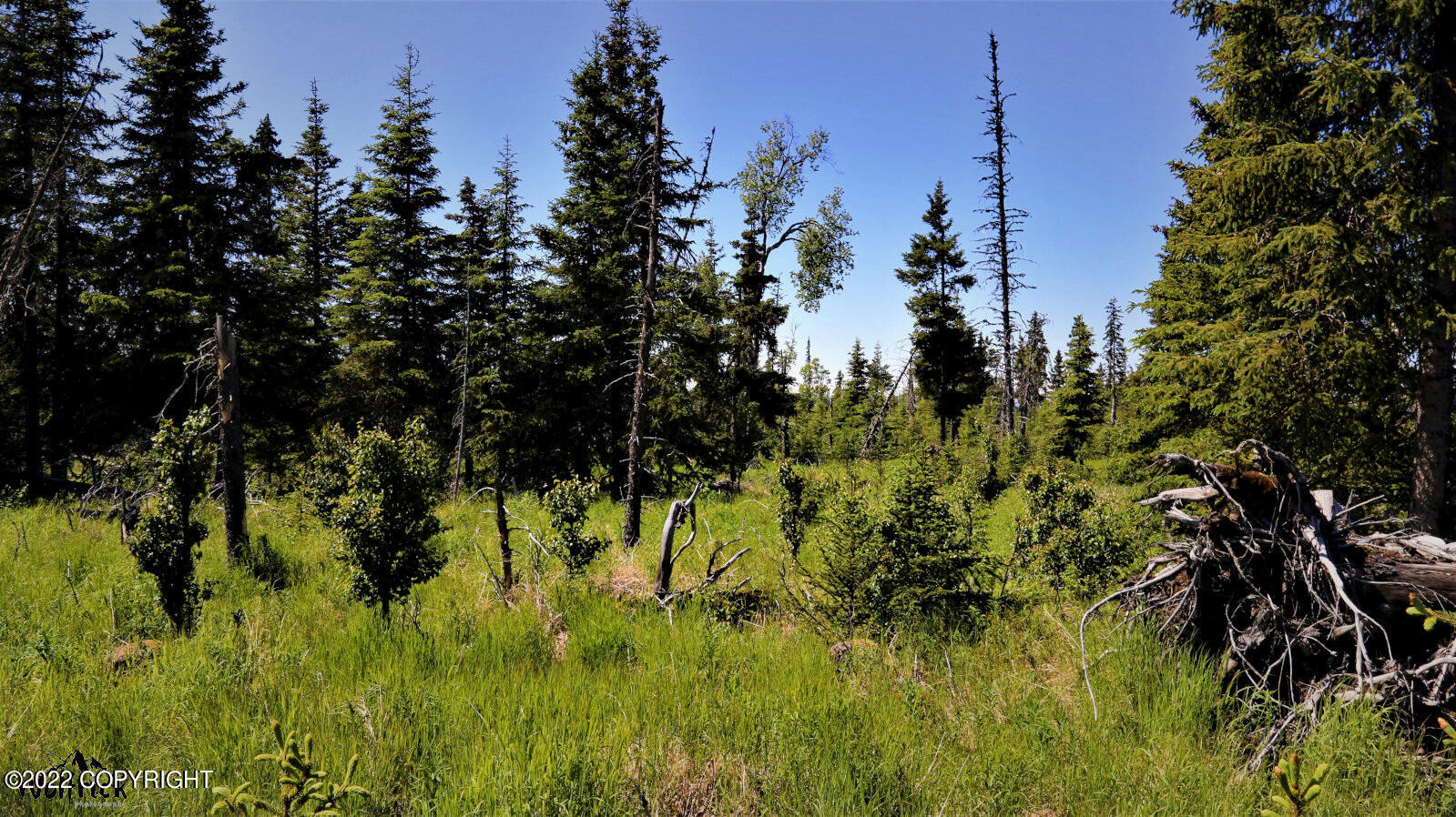 D23 Alaskan Wildwood Ranch(r) Property Photo 7