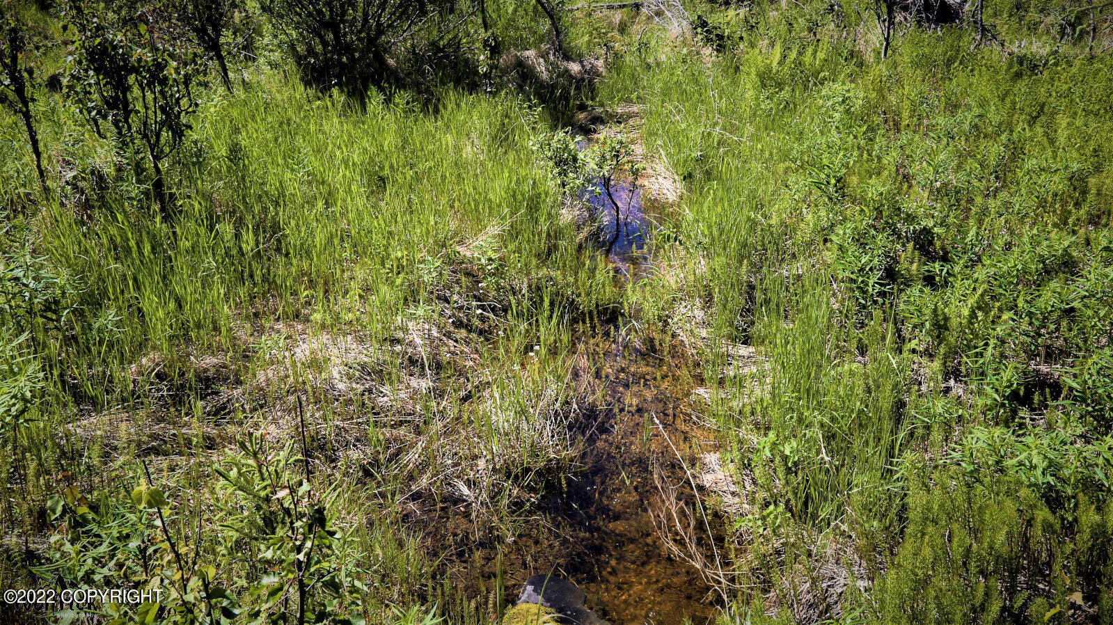 D23 Alaskan Wildwood Ranch(r) Property Photo 27