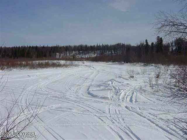 000 No Road Alexander Creek Property Photo 3