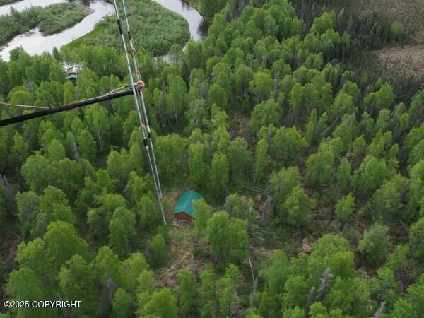000 No Road Alexander Creek Property Photo 6