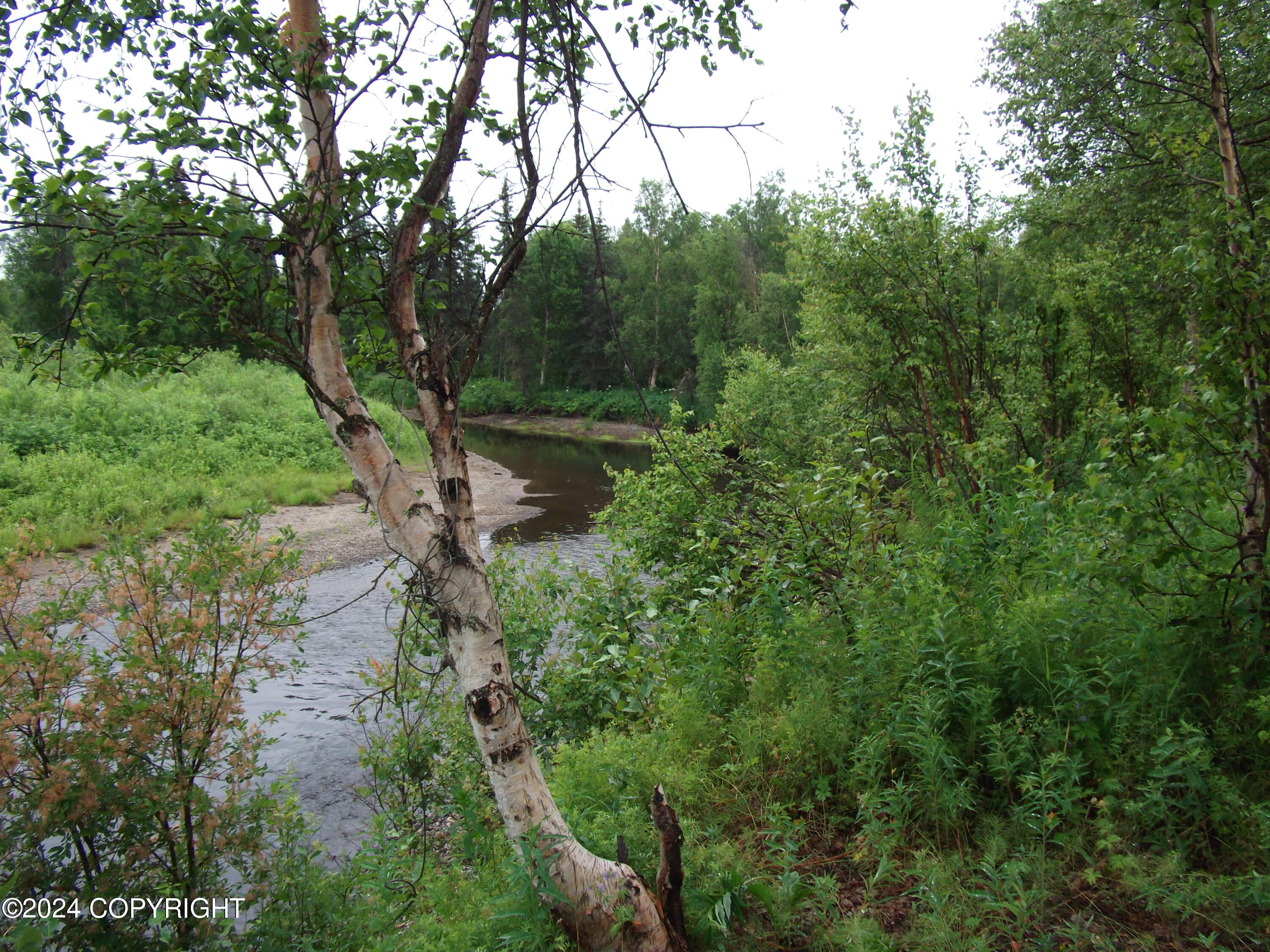 000 No Road Alexander Creek Property Photo 14