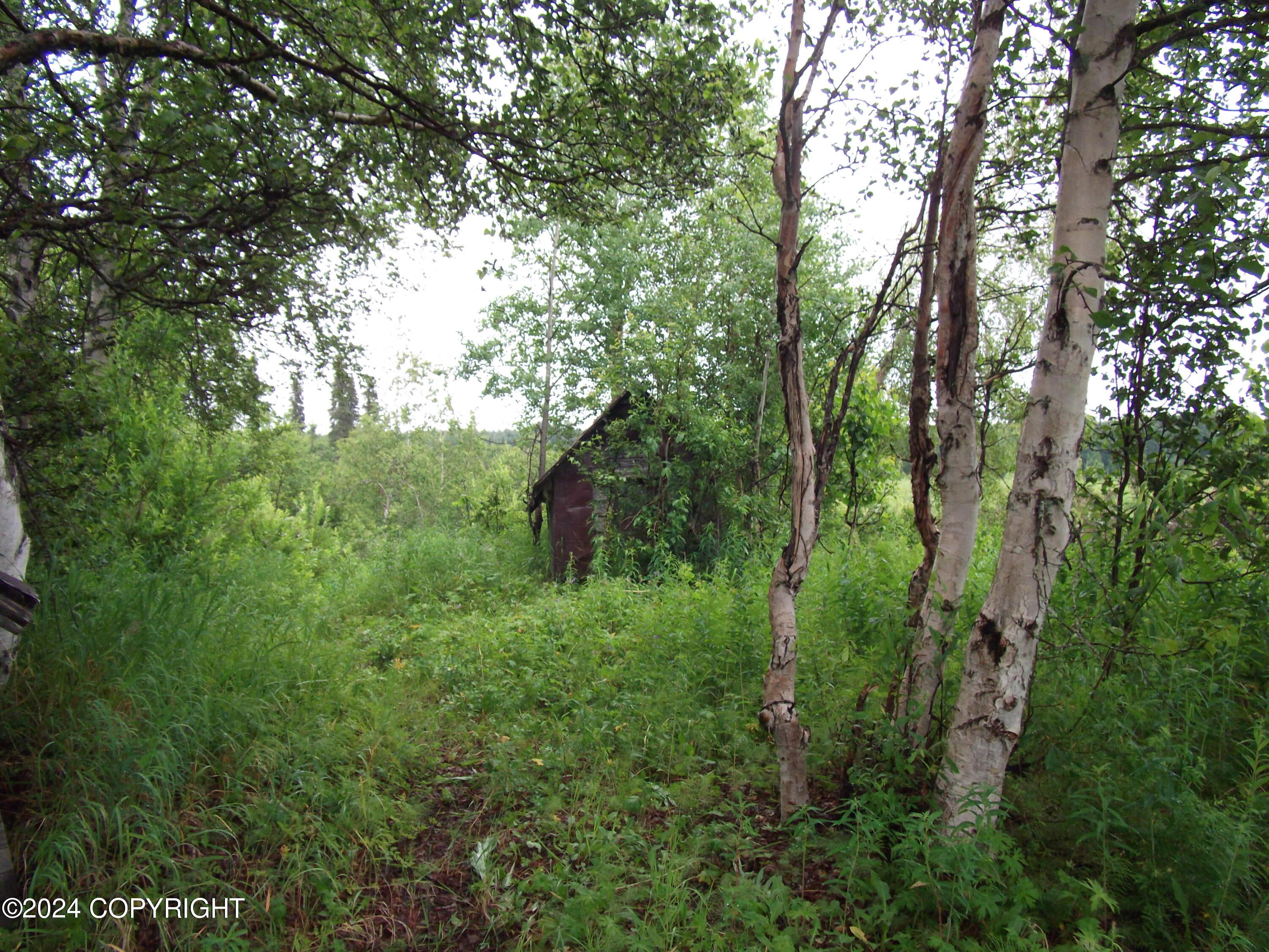 000 No Road Alexander Creek Property Photo 33