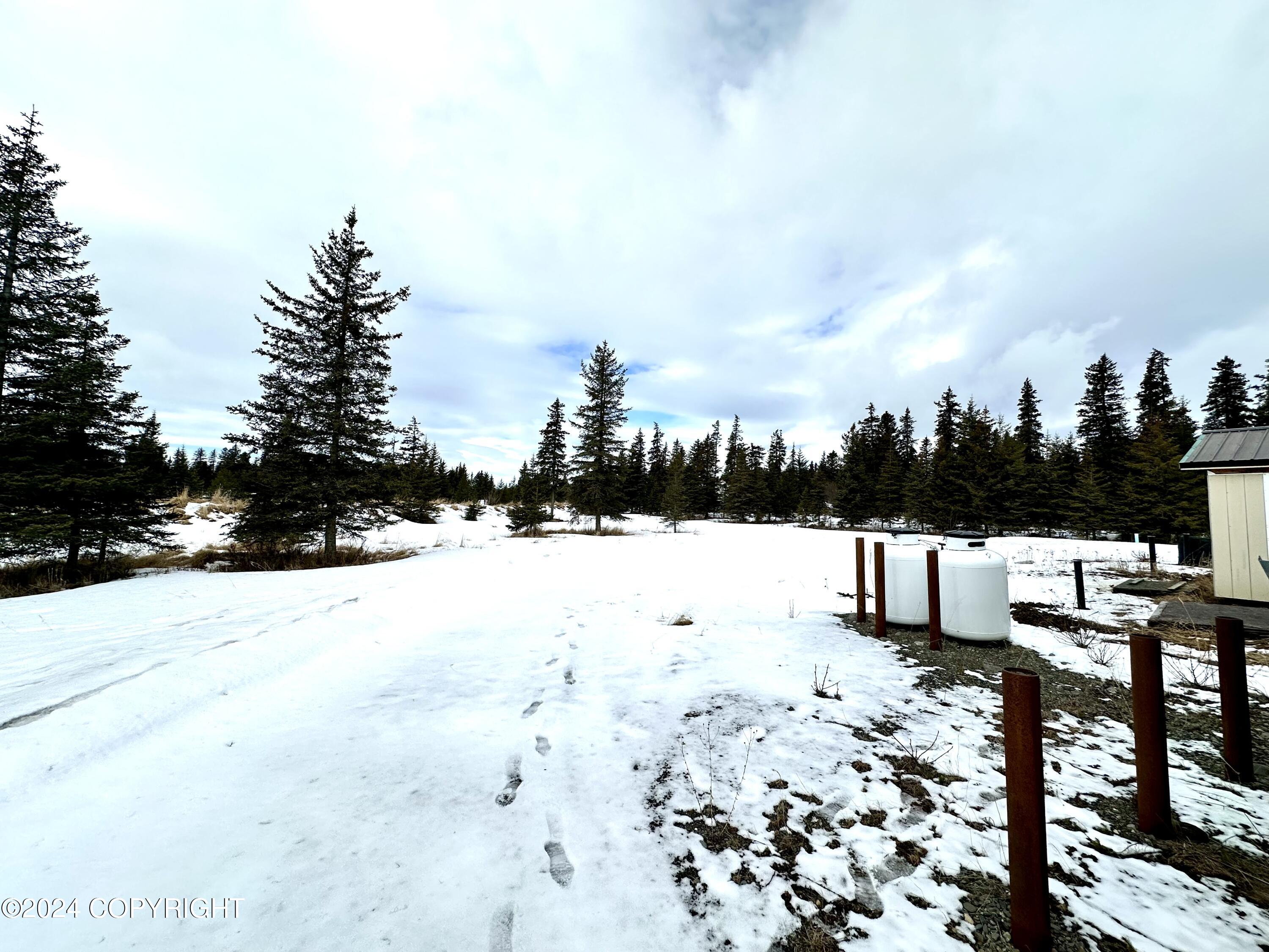 32721 Sterling Highway Property Photo 18