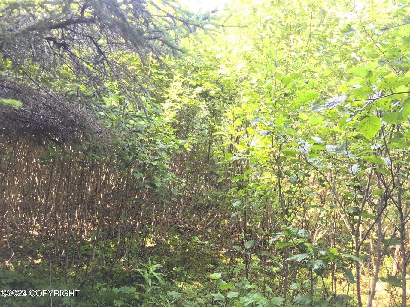 68650 Homestead Road Property Photo 9
