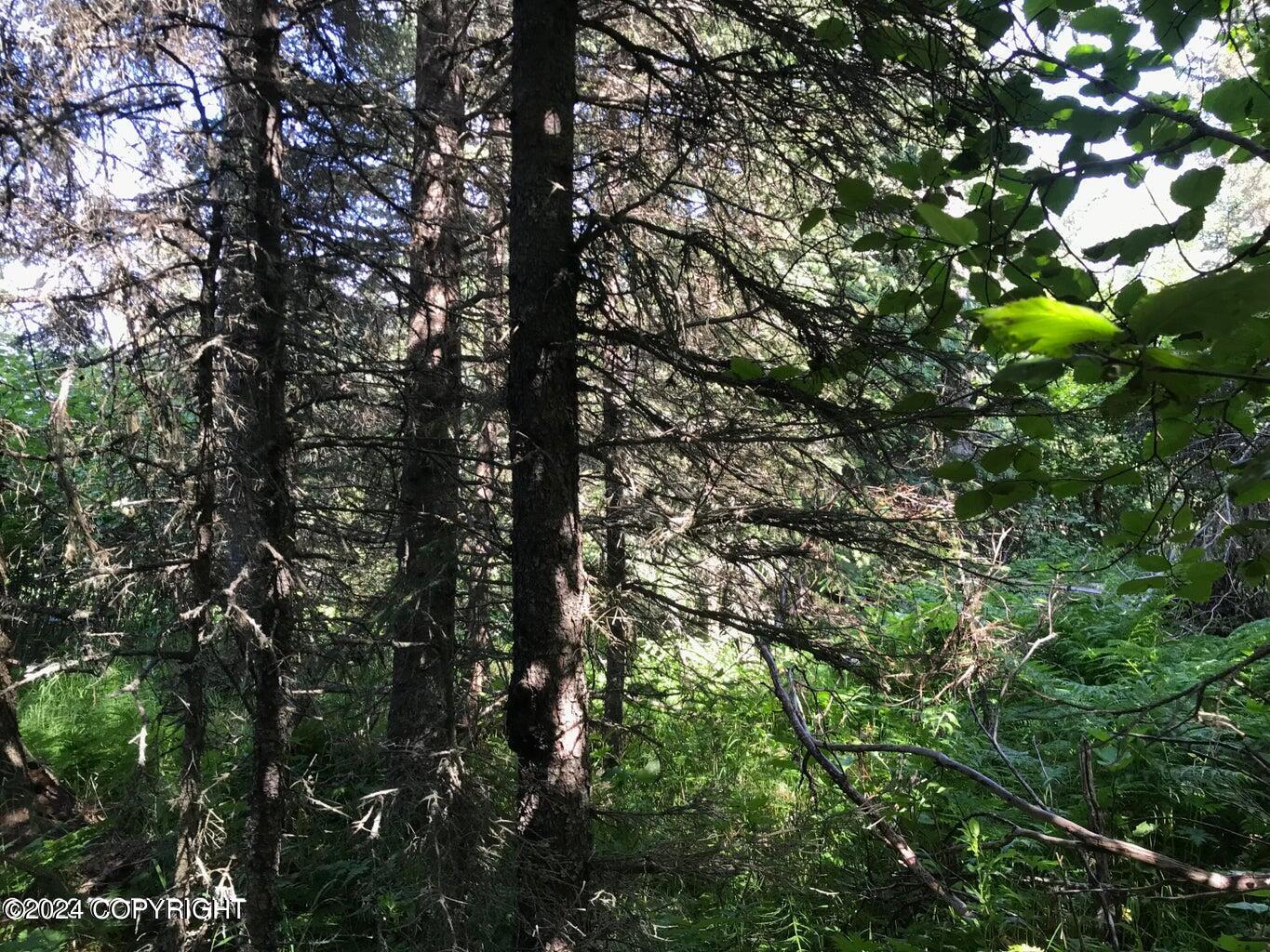 68650 Homestead Road Property Photo 10