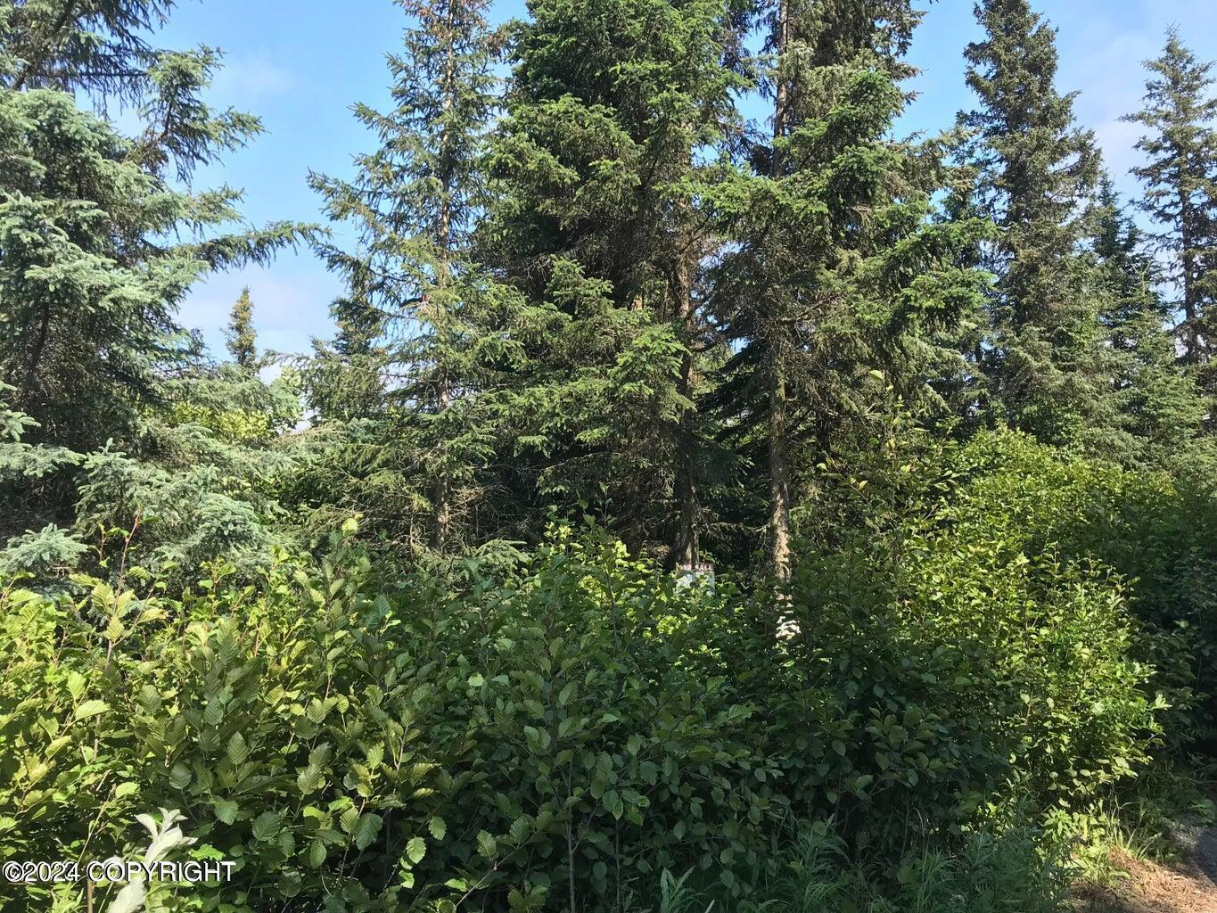68650 Homestead Road Property Photo 11