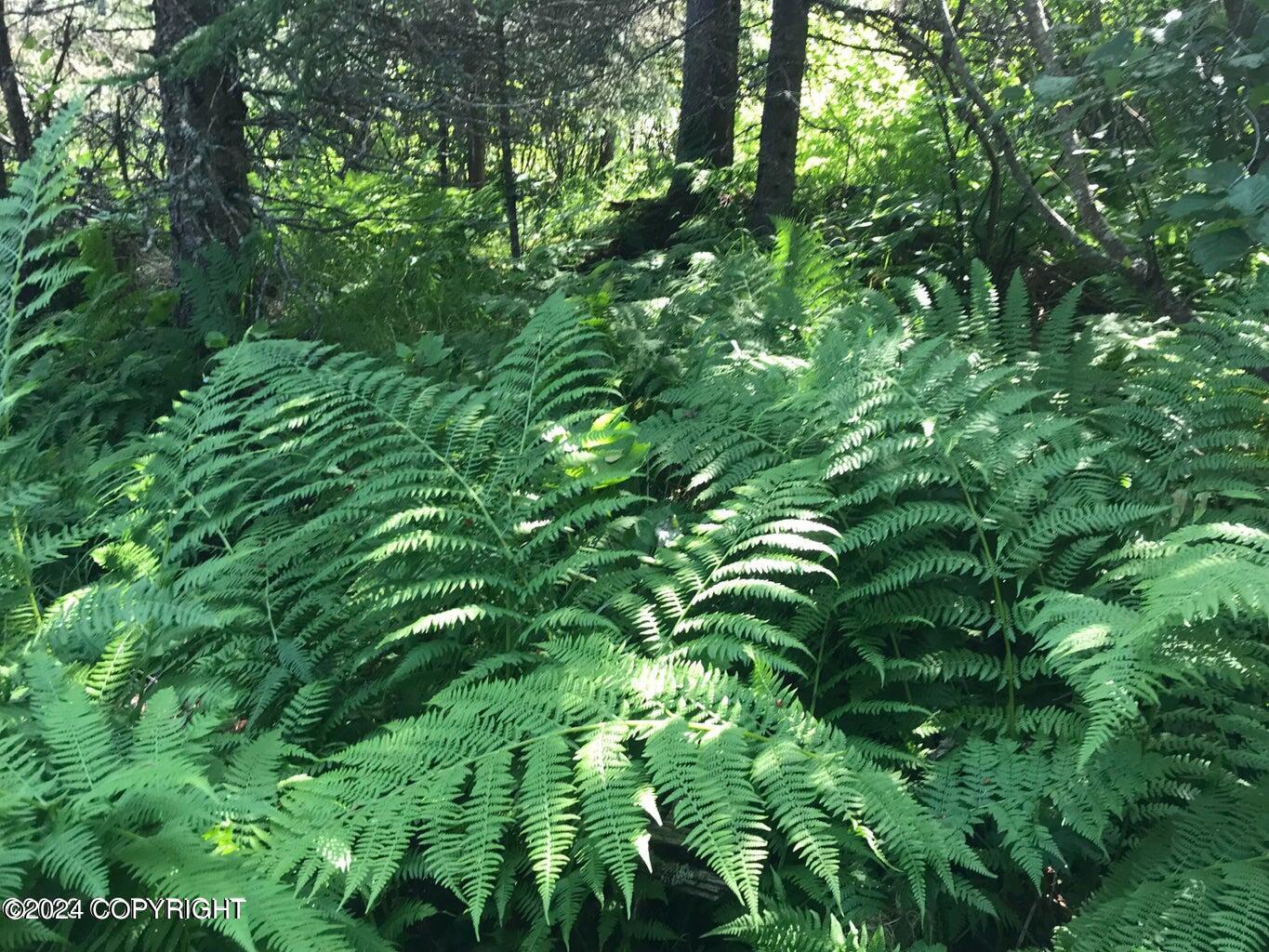 68650 Homestead Road Property Photo 13