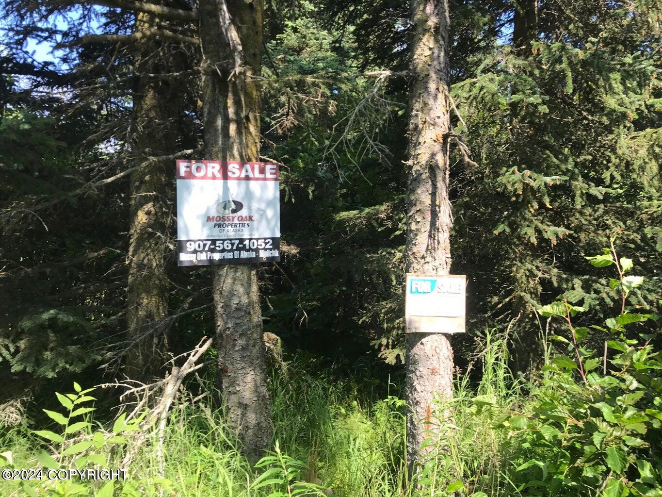 68650 Homestead Road Property Photo 14