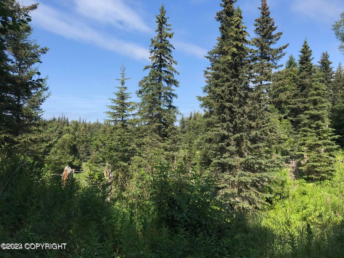 68650 Homestead Road Property Photo 15