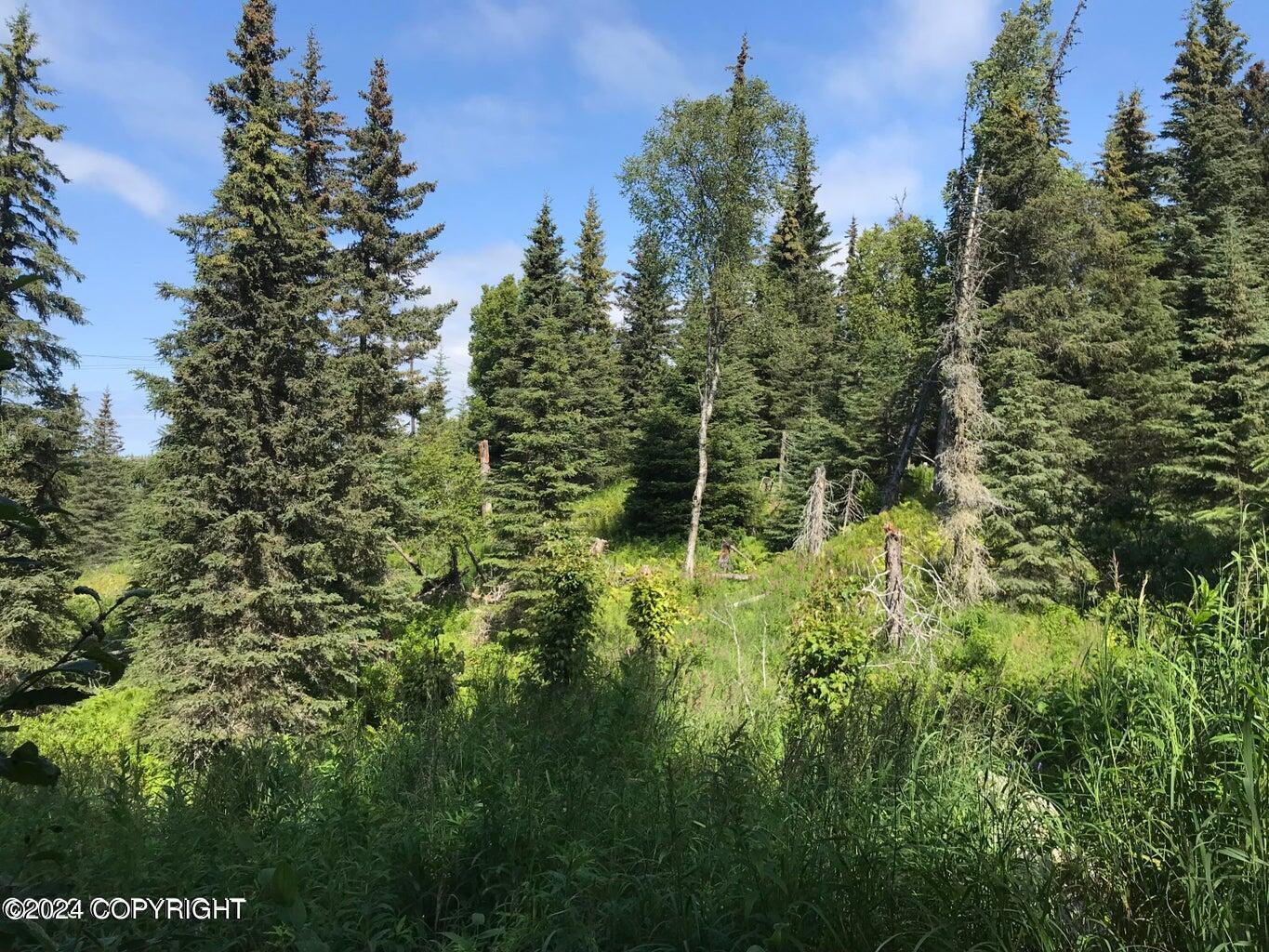 68650 Homestead Road Property Photo 17