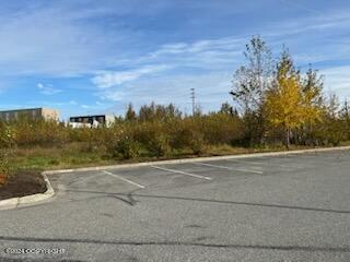 000 Anchorage Property Photo 1