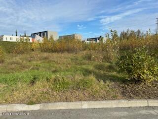 000 Anchorage Property Photo 2