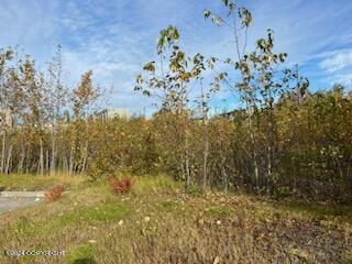 000 Anchorage Property Photo 3