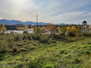000 Anchorage Property Photo 5