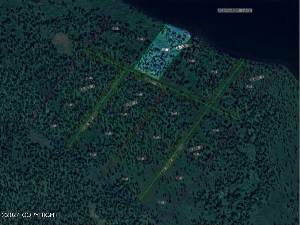 L3b1 Grizzly Road Property Photo 12