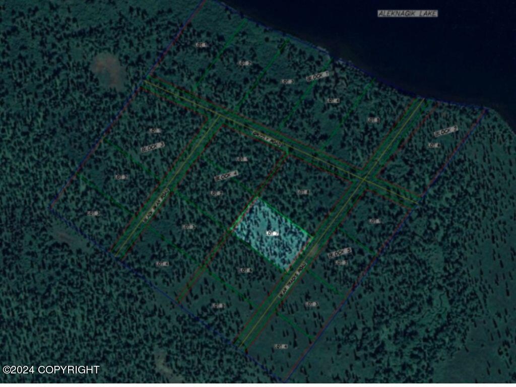 L7b4 Bear Tracks Road Property Photo 12