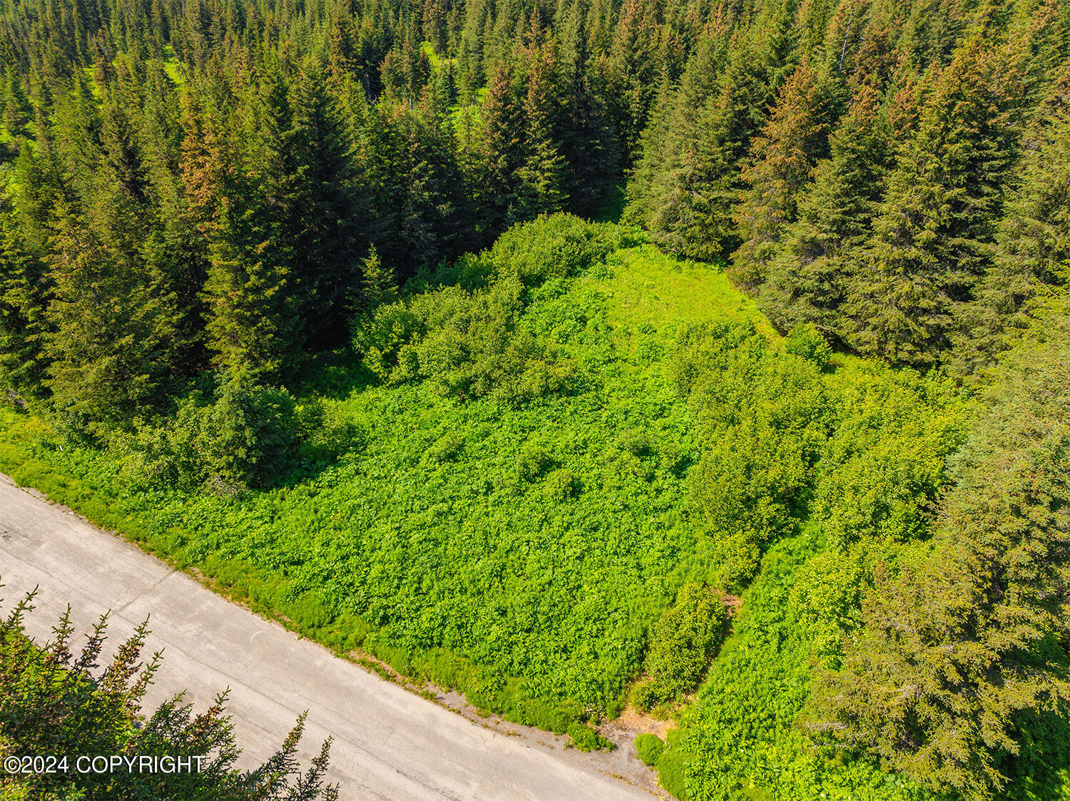 228 Tulin Terrace Boulevard Property Photo 6