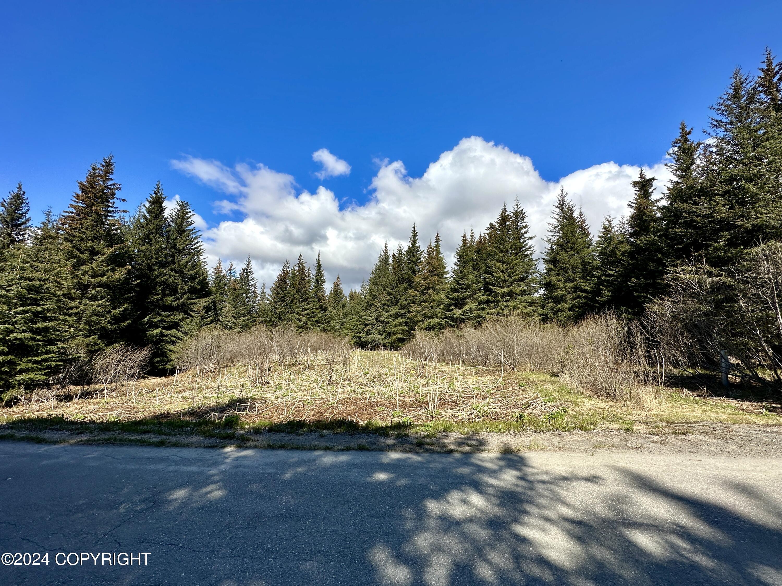 228 Tulin Terrace Boulevard Property Photo 9