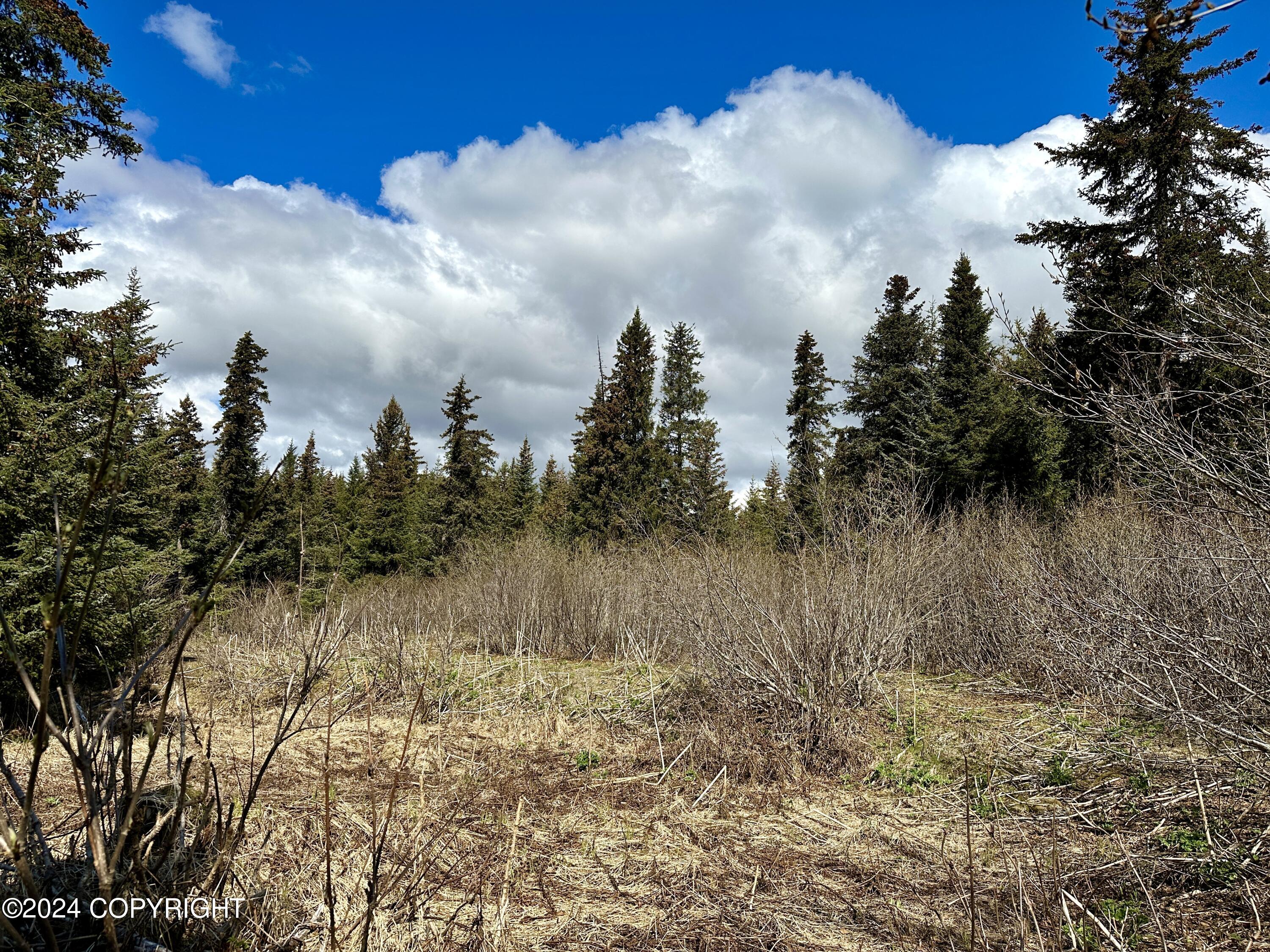 228 Tulin Terrace Boulevard Property Photo 10