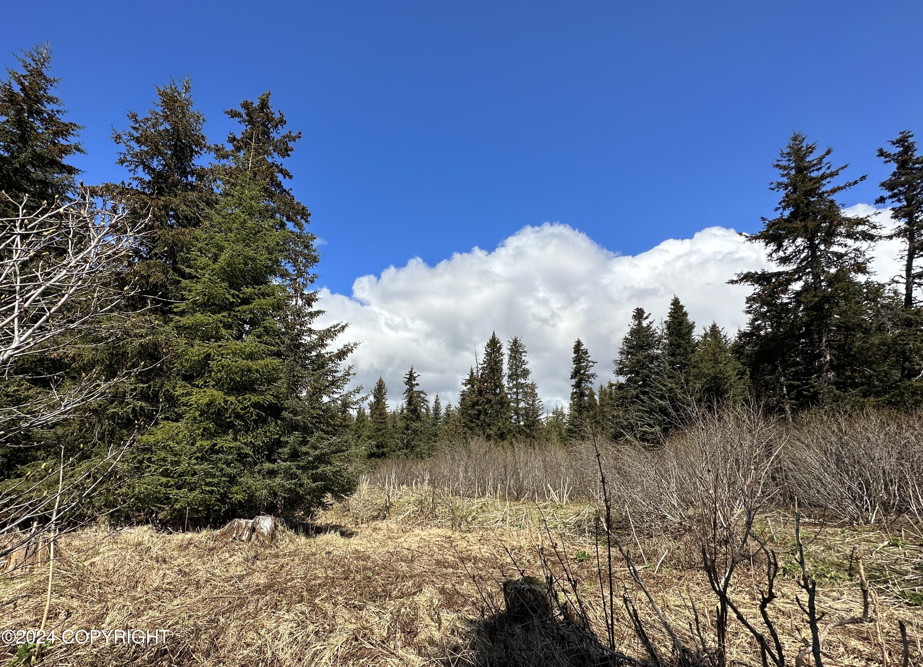 228 Tulin Terrace Boulevard Property Photo 11