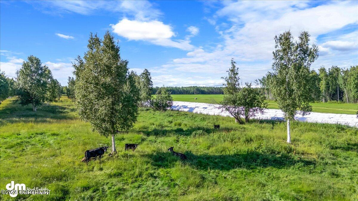 18226 S Guernsey Road Property Photo 93