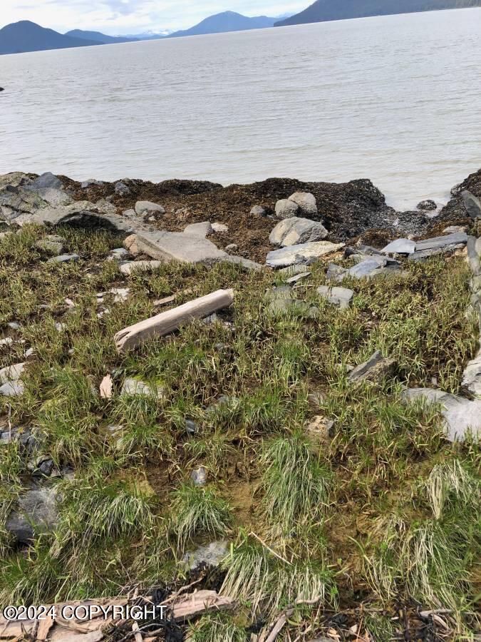 L13 Eastern Passage Property Photo 4