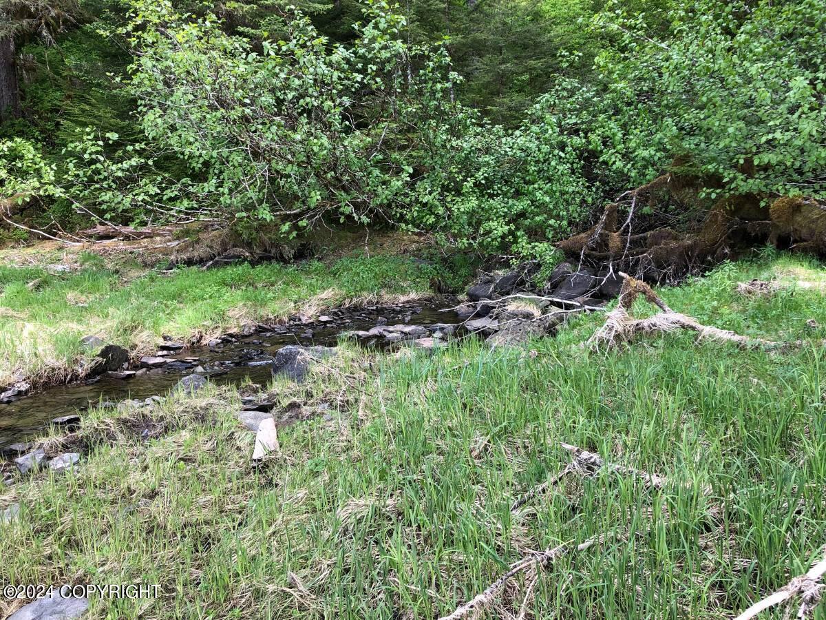 L13 Eastern Passage Property Photo 6