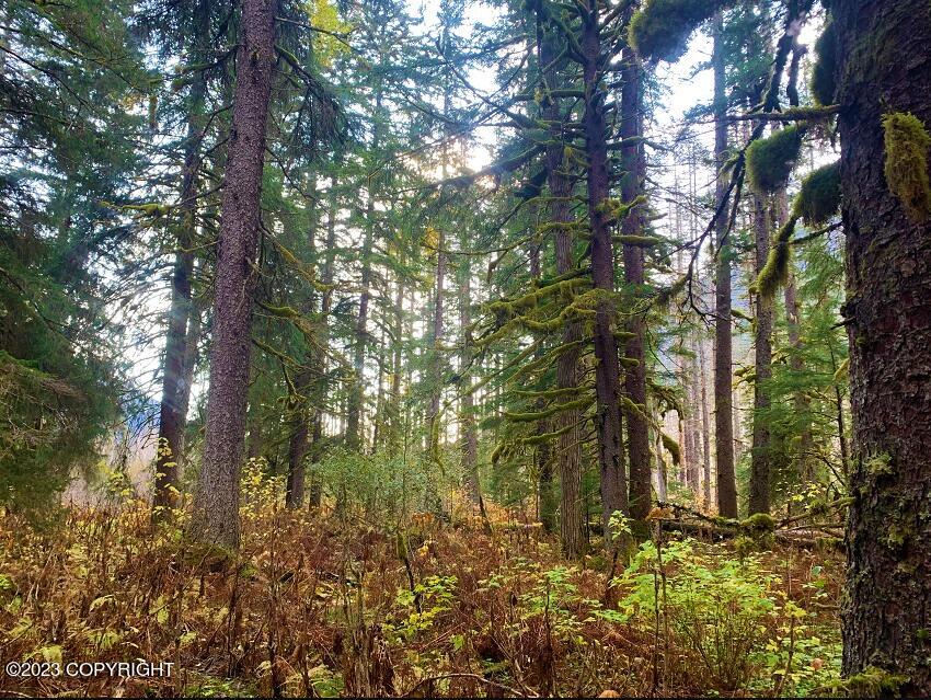 Nhn Ferebee River Property Photo 8
