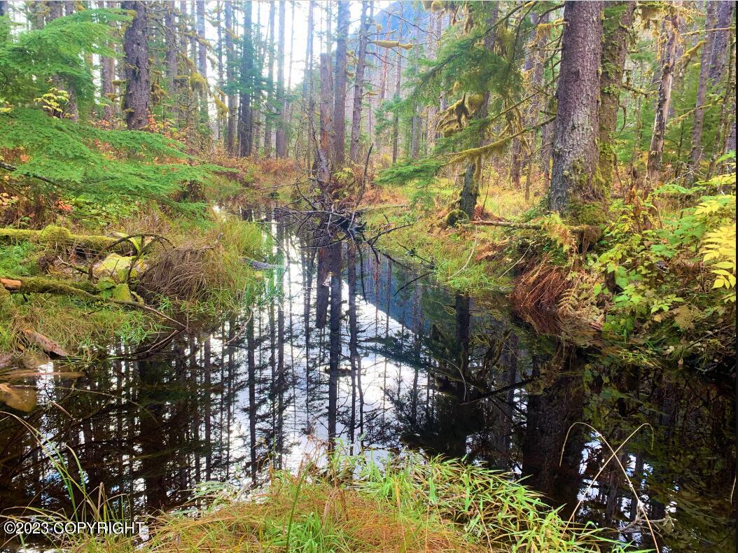 Nhn Ferebee River Property Photo 10