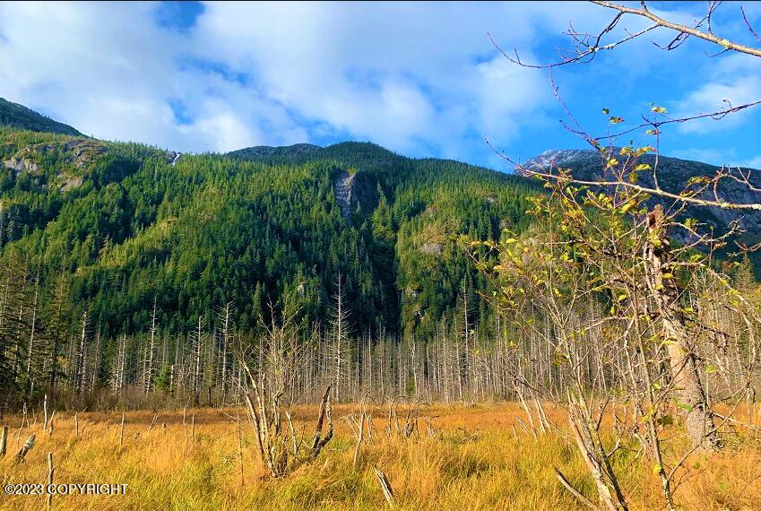 Nhn Ferebee River Property Photo 13