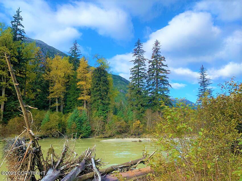 Nhn Ferebee River Property Photo 14