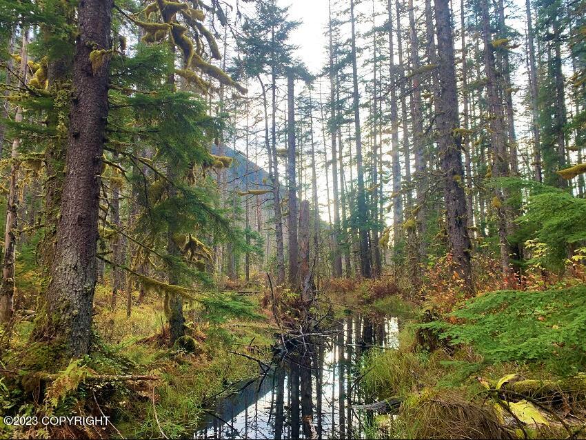 Nhn Ferebee River Property Photo 15