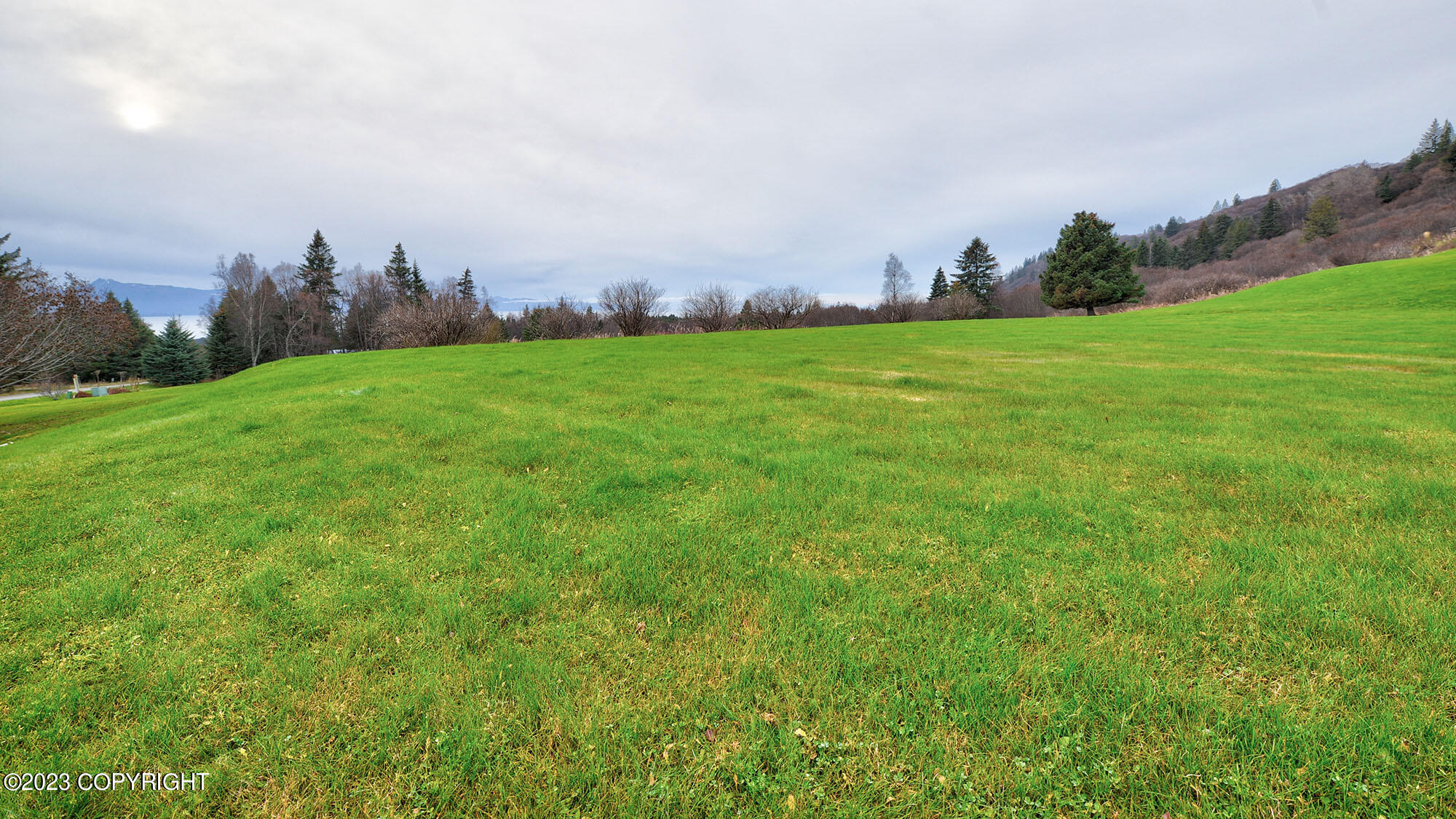 932 Quiet Creek Drive Property Photo 29