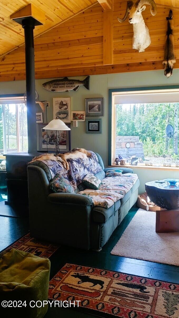 Mi 147.5 Richardson Highway Property Photo 11