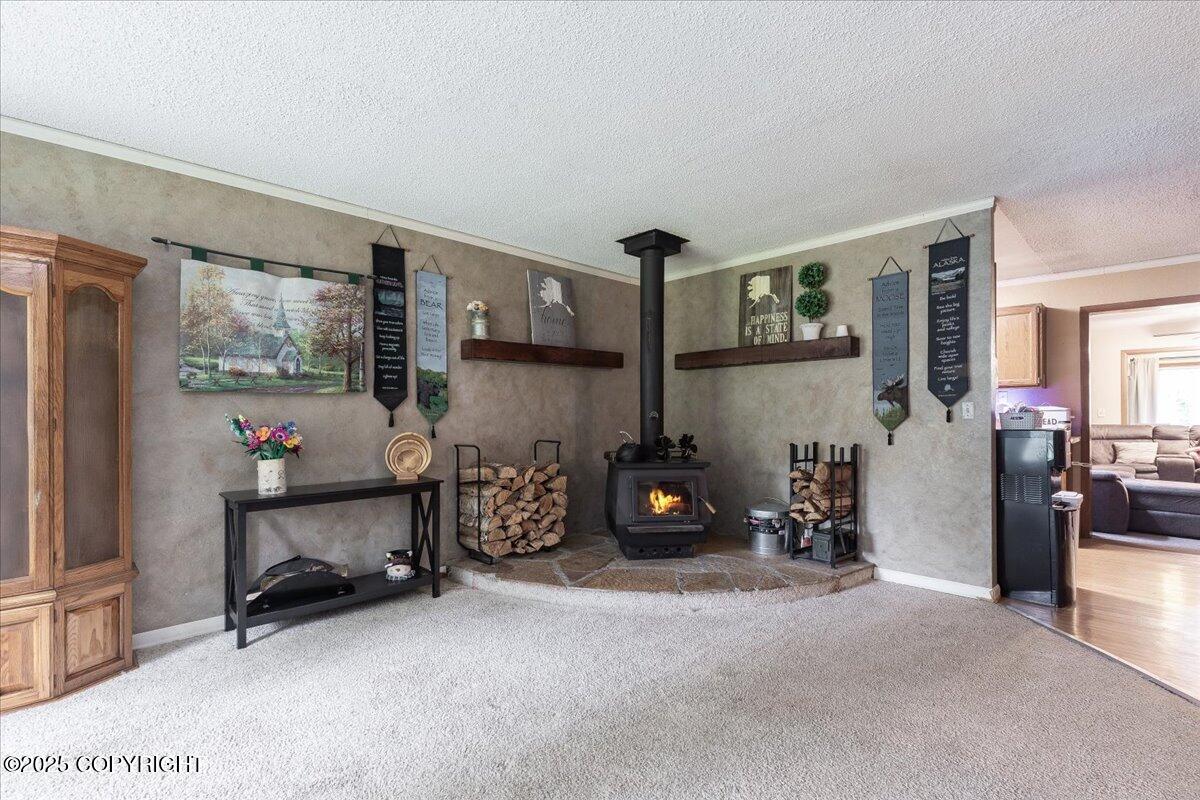1370 Toolik Drive Property Photo 8