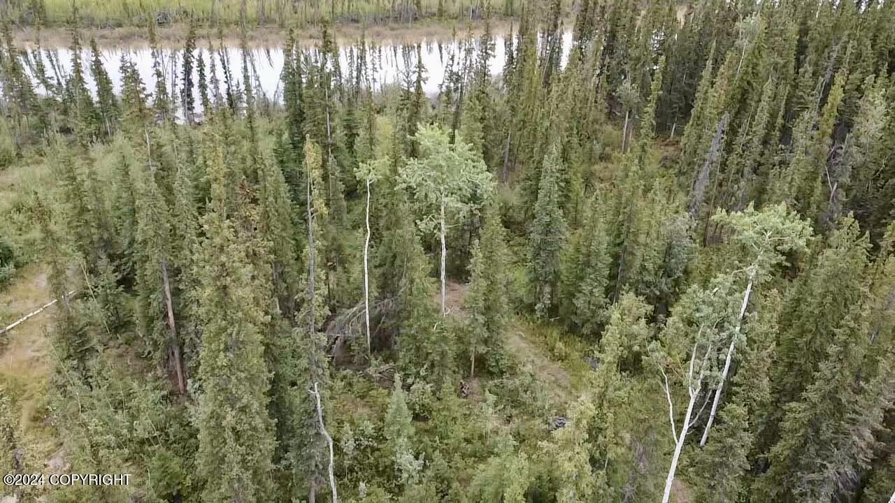 1327.6 B2 Alaska Highway Property Photo 8