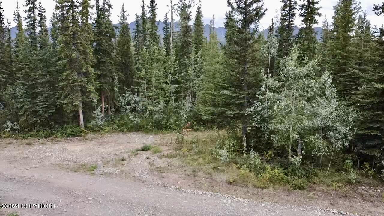 1327.6 B2 Alaska Highway Property Photo 15