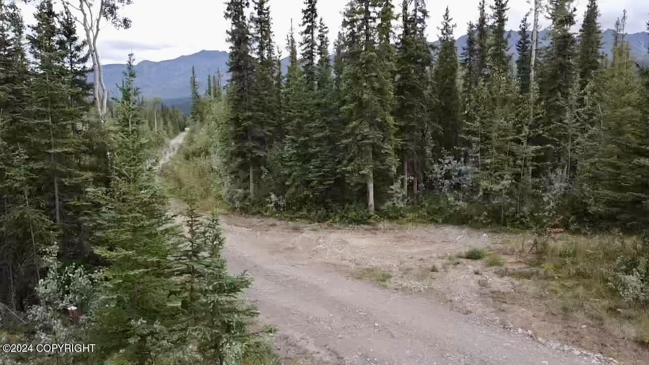 1327.6 B2 Alaska Highway Property Photo 16