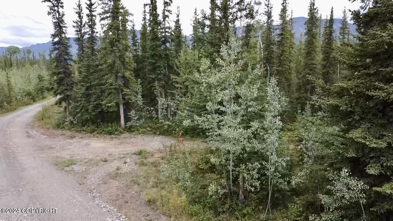 1327.6 B2 Alaska Highway Property Photo 18